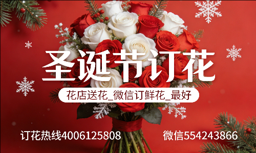 ���ݲ��ػ���