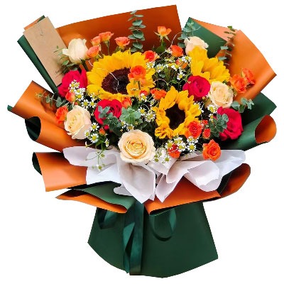 ���ݲ��ػ���